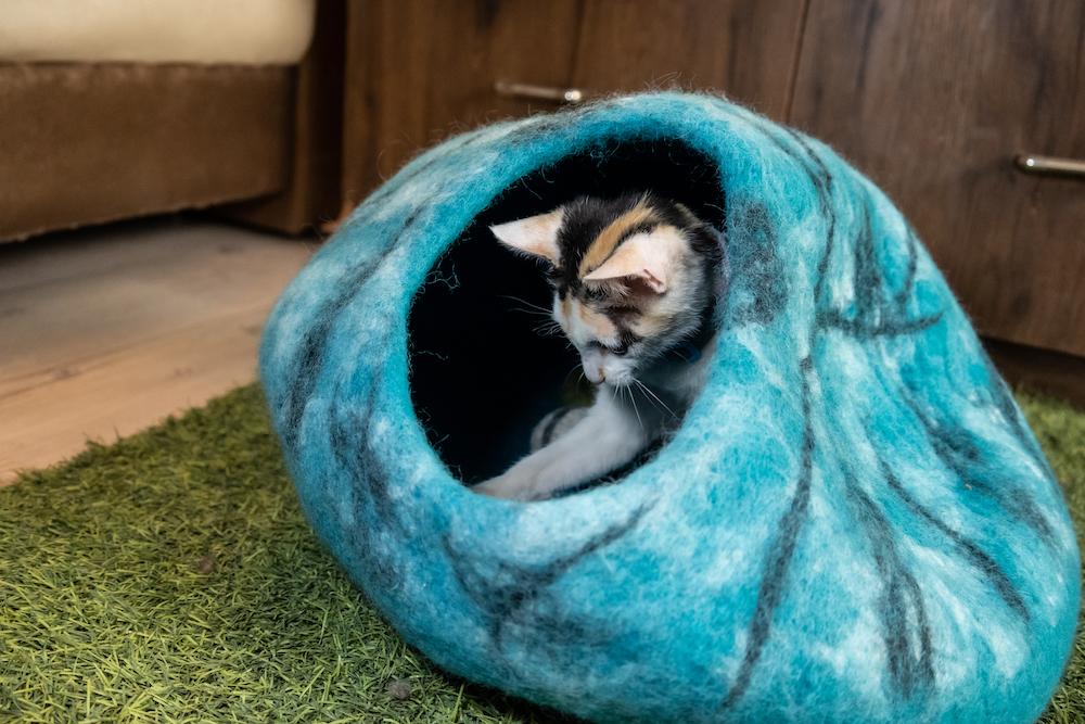 Blue colored felted cat cave